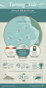 the-nature-conservancy-turning-the-tide-infographic