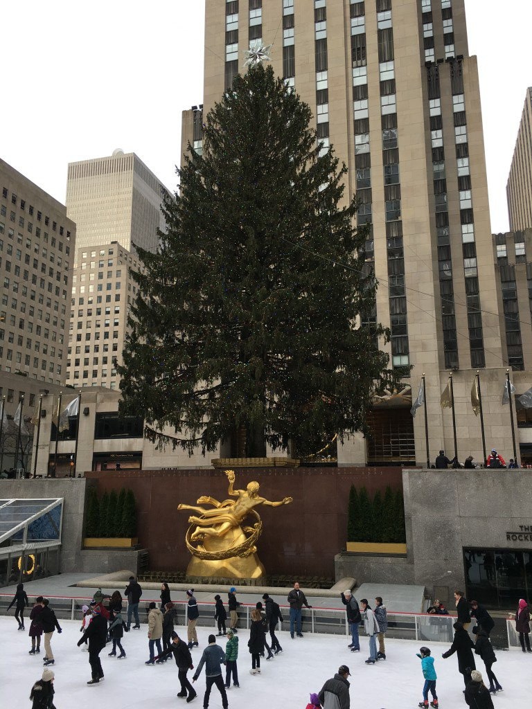 The 2016 Christmas Tree at Rockefeller Centre! 